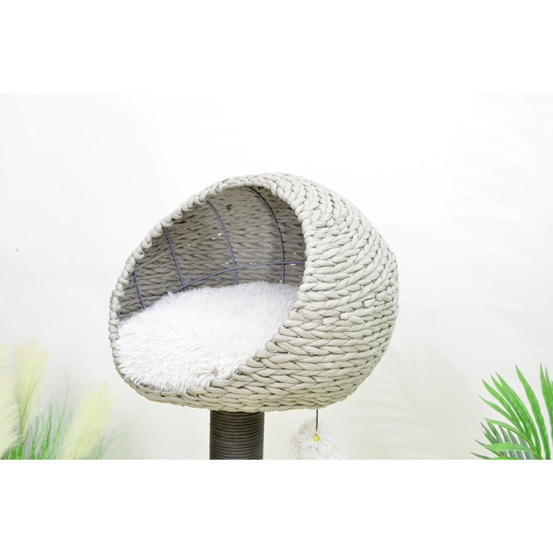 Tucker Murphy Pet™ 50" Amagansett Cat Condo & Reviews Wayfair